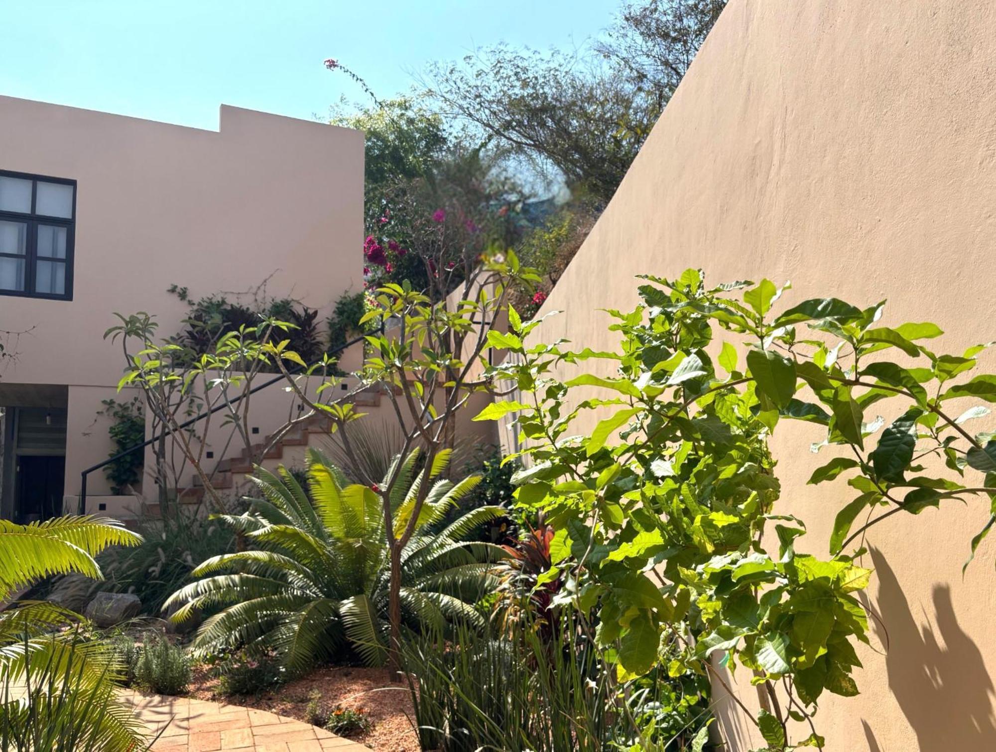 Casa Las Almas Mazunte Eksteriør bilde