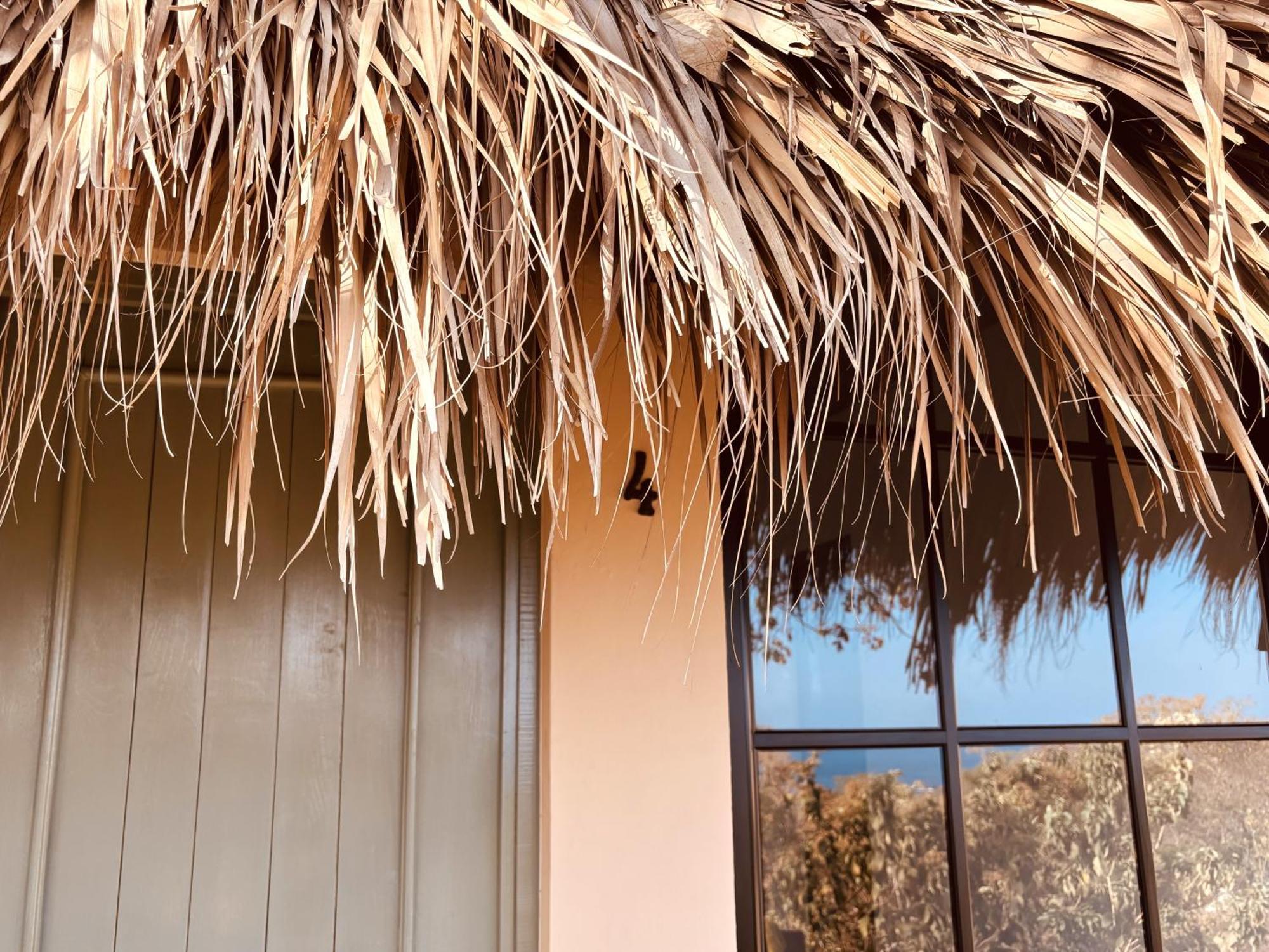Casa Las Almas Mazunte Rom bilde